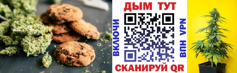 Canna-Cookies марихуана  Болхов 