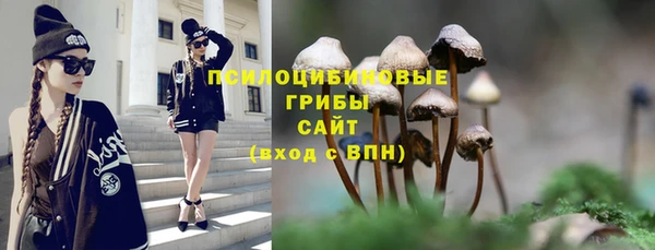 твердый Алзамай