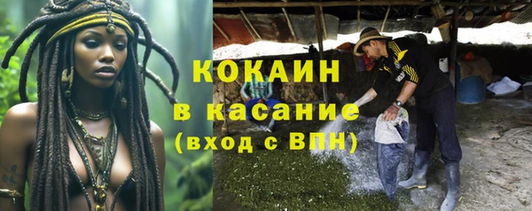 твердый Алзамай