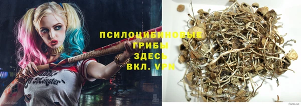 дживик Алексеевка