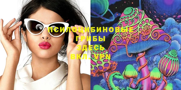 дживик Алексеевка