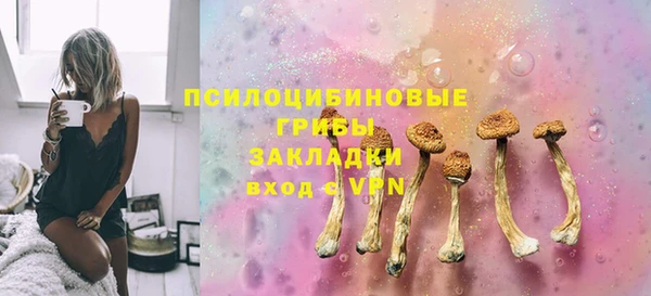 твердый Алзамай